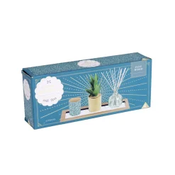 Coffret senteur bougie/plateau/diffuseur/plante artificielle < Gifi New