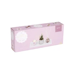 Coffret senteur bougie/plateau/diffuseur/plante artificielle < Gifi New