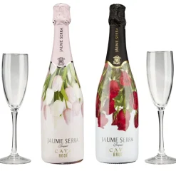 Coffret vin pétillant Cava Jaume Serra bouquet 2 bouteilles brut et rosé avec flûtes 2x75cl < Gifi Discount