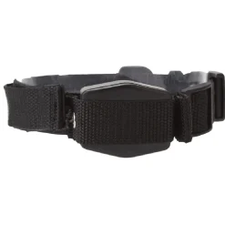 Collier chien laisse intégrée < Gifi New