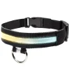 Collier LED pour chien vert L34-41cm - Taille S