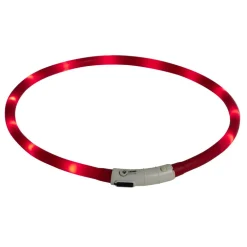 Collier pour chien tube silicone lumineuxLED rechargeable USB < Gifi Outlet