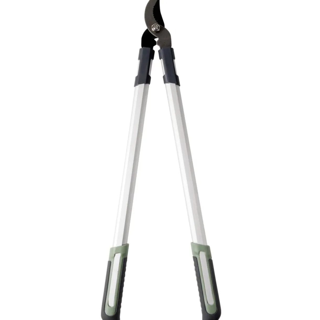 Coupe branche gris et vert L69cm < Gifi New