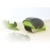 Coupe herbes aromatiques vert anis