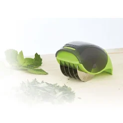 Coupe herbes aromatiques vert anis