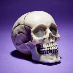 Crâne décoration Halloween 19x15xH16cm < Gifi Sale