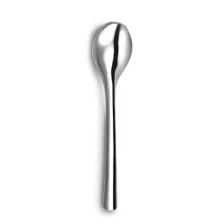 Cuillère à café inox x12