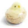 Décoration Pâques à poser poussin dans nid - 2 coloris < Gifi Discount