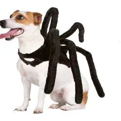 Déguisement araignée pour chien < Gifi Outlet