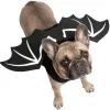 Déguisement chien Halloween ailes de chauve-souris noir L/XL < Gifi