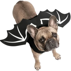 Déguisement chien Halloween ailes de chauve-souris noir S/M < Gifi Hot