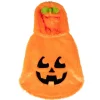 Déguisement chien Halloween pull capuche citrouille orange S/M