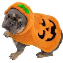 Déguisement chien Halloween pull capuche citrouille orange L/XL < Gifi Outlet