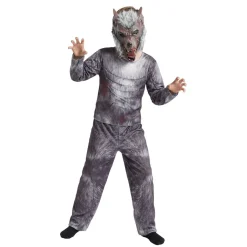 Déguisement Halloween enfant loup garou 3 pièces polyester gris 7/10ans