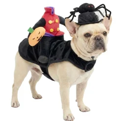 Déguisement pour animal Halloween bonhomme citrouille sans tête noir L/XL < Gifi Hot