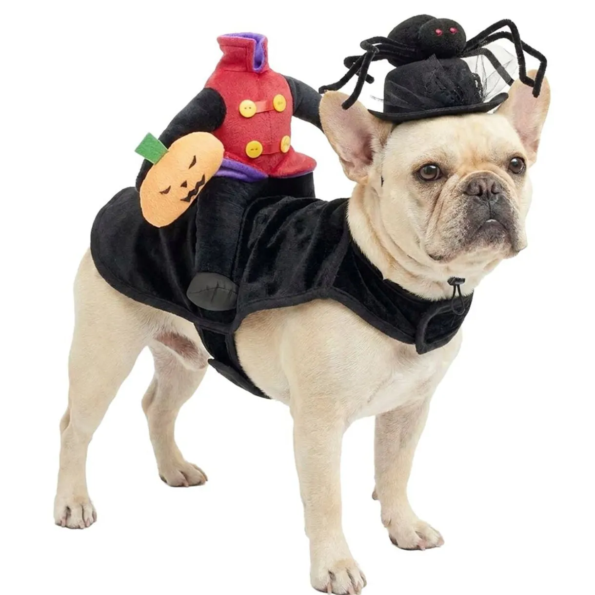Déguisement pour animal Halloween bonhomme citrouille sans tête noir L/XL < Gifi Hot