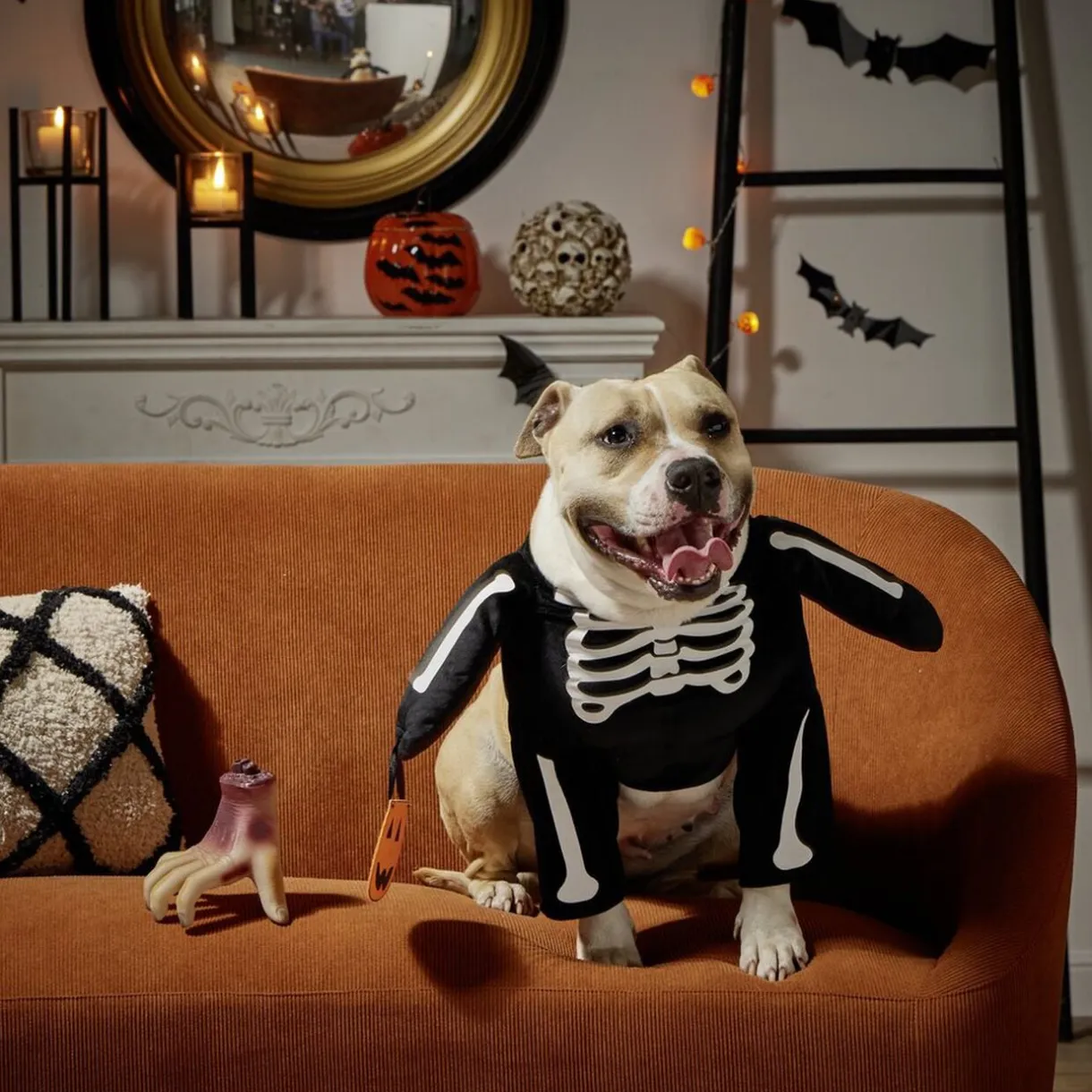Déguisement pour chien squelette noir et blanc S/M < Gifi Discount