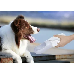 Distributeur d'eau portable pour animaux 500ml