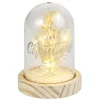 Dôme fleurs séchées sous cloche Merry Christmas à LED Ø9xH13cm < Gifi Hot