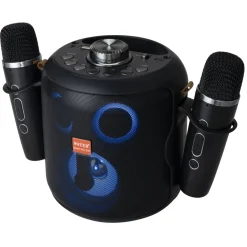 Enceinte karaoké bluetooth avec micro x2 lumineuse Homday H149cm 15W < Gifi Clearance