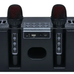Enceinte karaoké 2 micros Homday Party