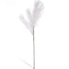 Feuillage artificiel herbe de la pampa blanc H91cm