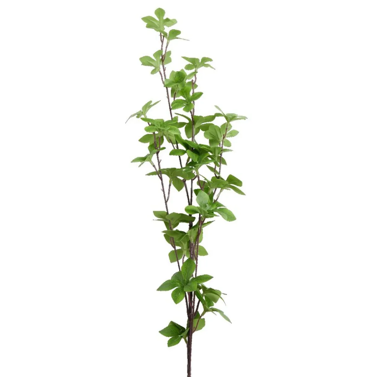 Feuillage artificiel vert 1 tige 30 feuilles L86cm < Gifi Hot