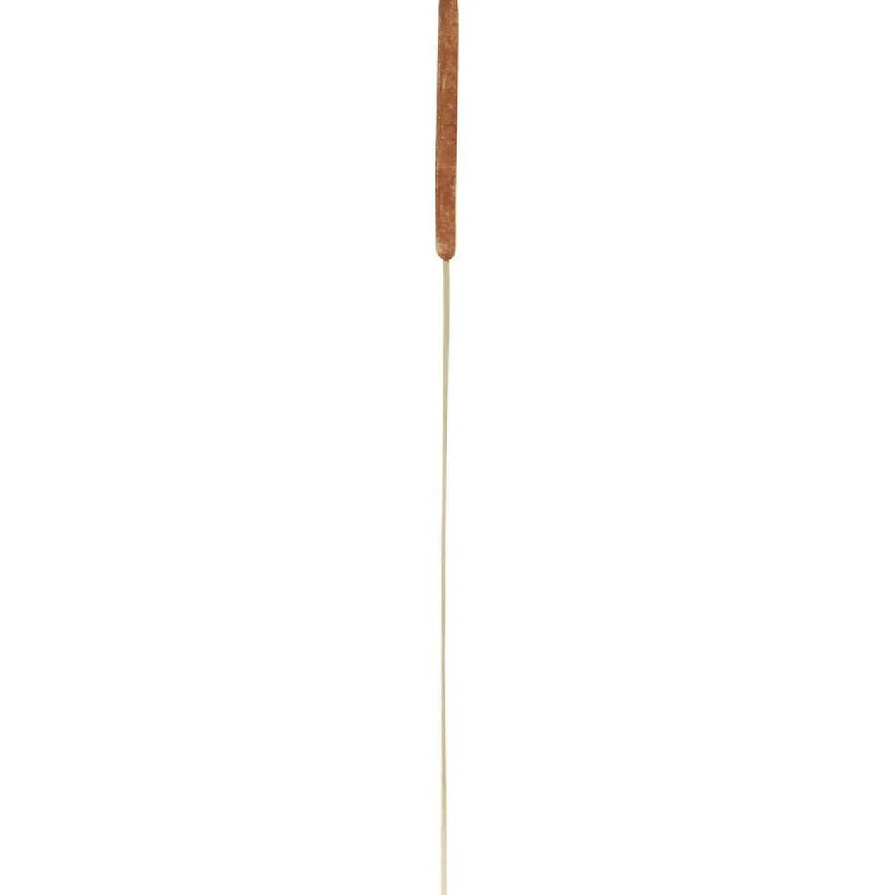 Feuille séchée