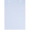Fiche bristol perforée petits carreaux 14,8x21cm x50 < Gifi Clearance