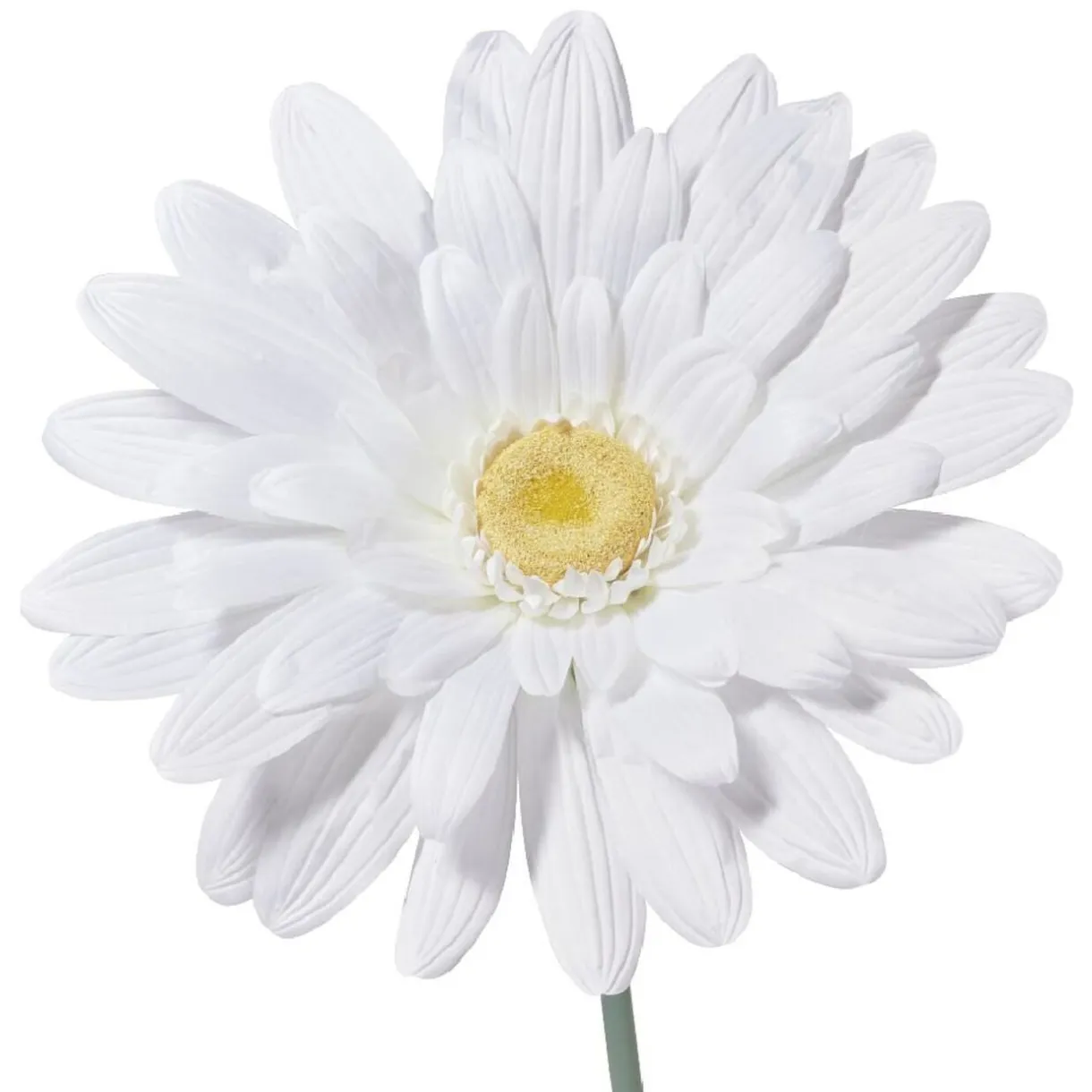 Fleur artificielle blanche marguerite tige XXL H150cm < Gifi Outlet