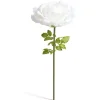 Fleur artificielle rose blanche tige XXL H170cm < Gifi Outlet