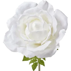 Fleur artificielle rose blanche tige XXL H170cm < Gifi Outlet