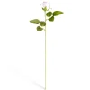 Fleur artificielle rose blanche et rose H51cm < Gifi Discount