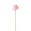 Fleur artificielle 1 tige allium rose H72cm