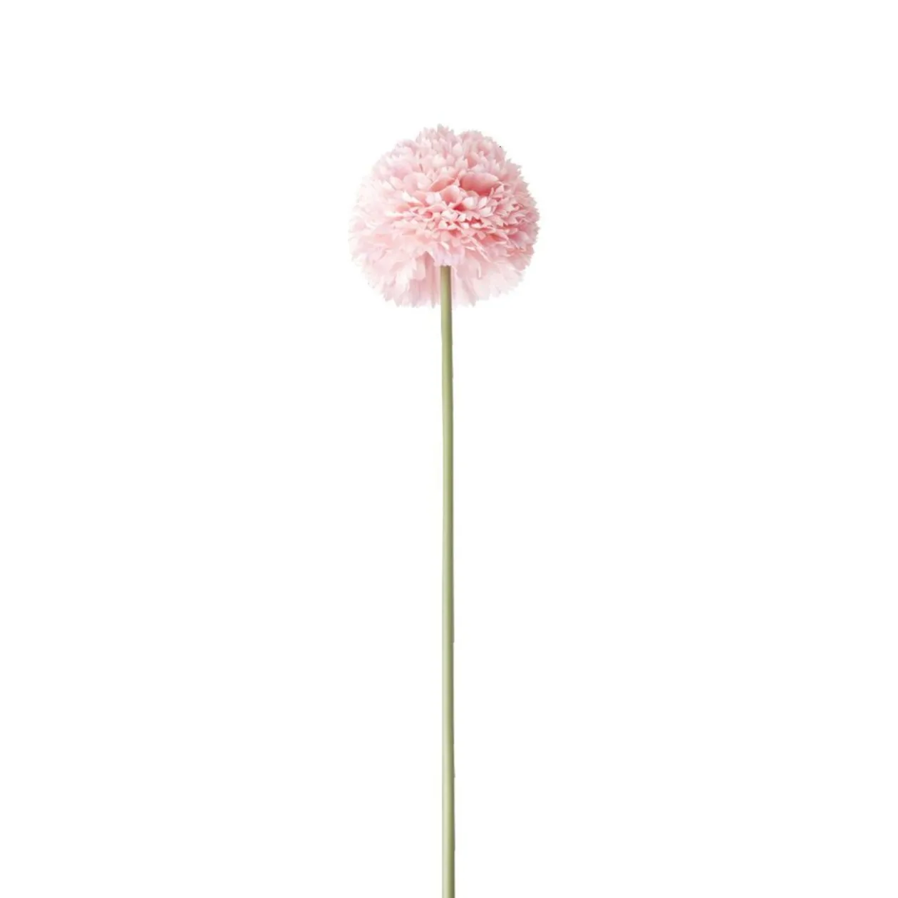 Fleur artificielle 1 tige allium rose H72cm