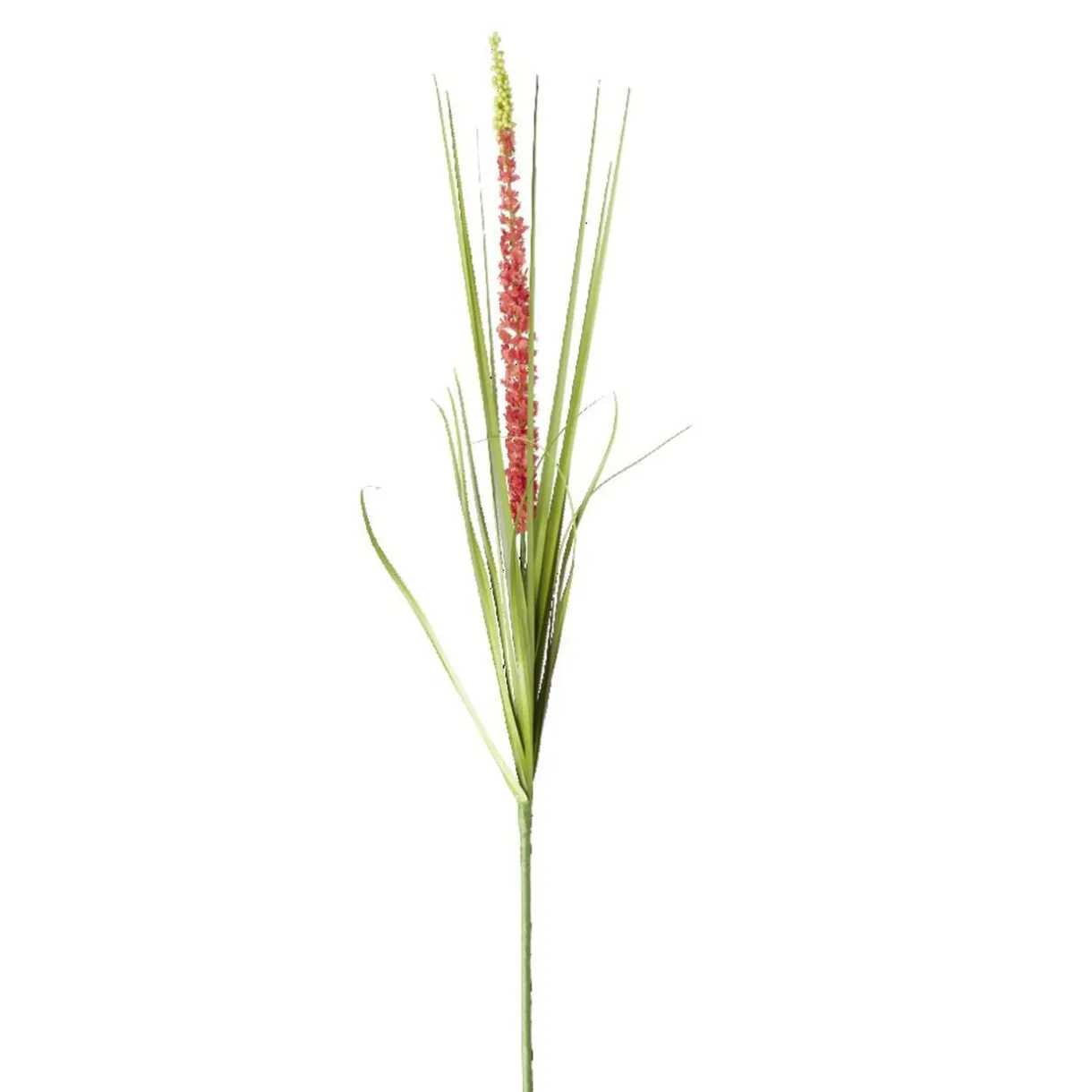 Fleur artificielle 1 tige liatris rouge clair ou foncé H90cm < Gifi Sale