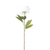 Fleur artificielle 1 tige pivoine blanche H66cm < Gifi Discount