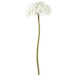 Fleur artificielle XL blanche façon allium Ø45xH178cm < Gifi New