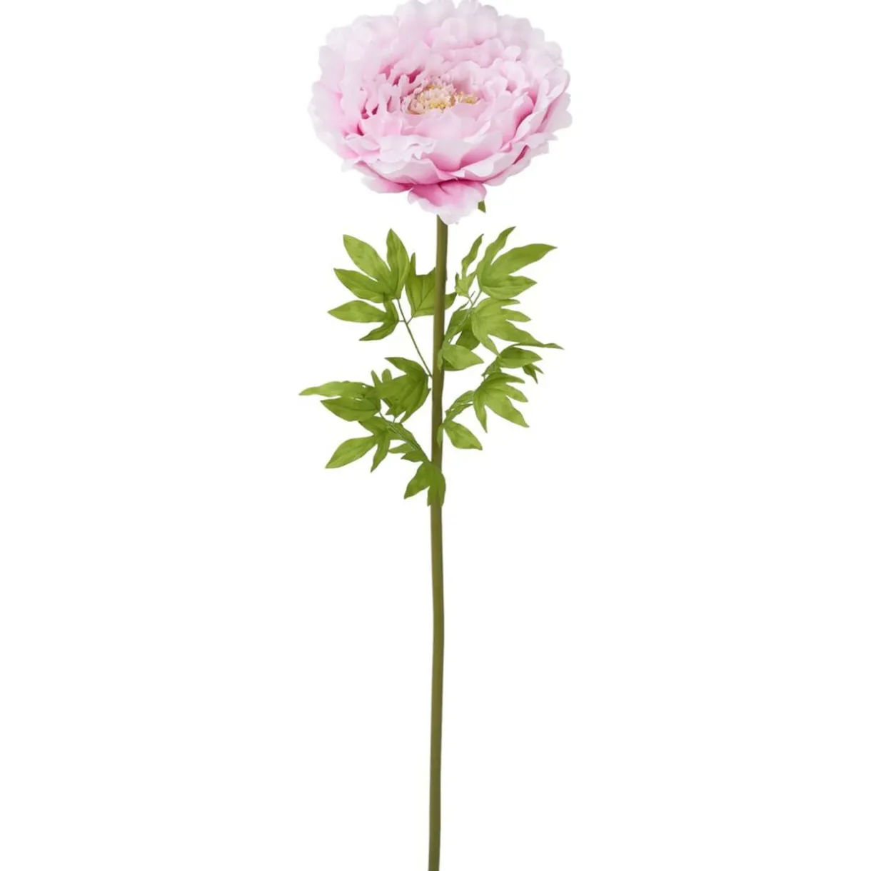 Fleur artificielle XL magnolia rose fuchsia Ø58xH170cm < Gifi New