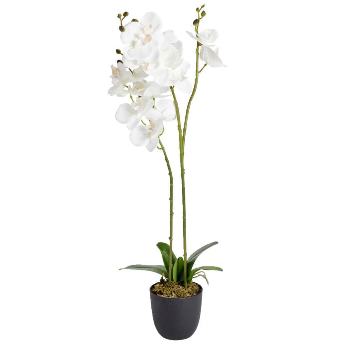 Fleurs artificielles en pot orchidée blanche Ø11xH50cm < Gifi