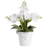 Fleurs artificielles en pot orchidée blanche 5 branches H32cm < Gifi Sale