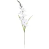 Fleurs artificielles glaïeul blanc ou ivoire 1 tige L75cm - 2 modèles