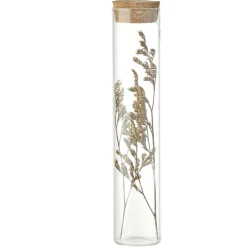 Fleurs séchées dans tube Ø3xH17cm (4 modèles)