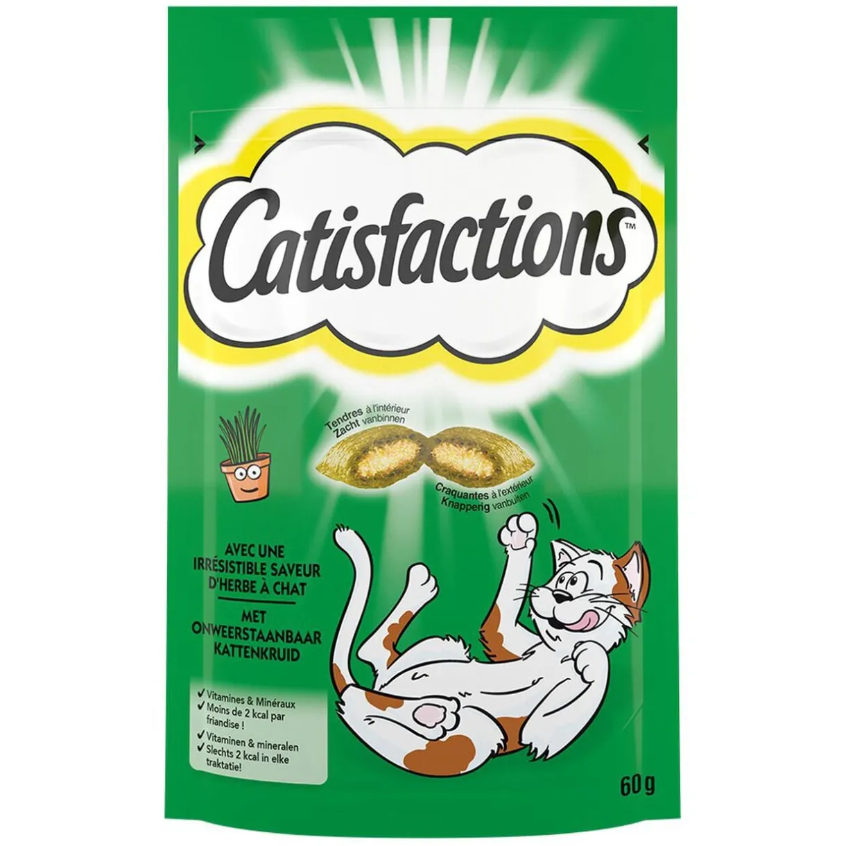 Friandise pour chat Castisfactions saveur herbe à chat sachet 60g < Gifi Hot