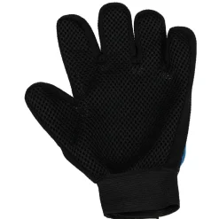 Gant de brossage pour chien et chat