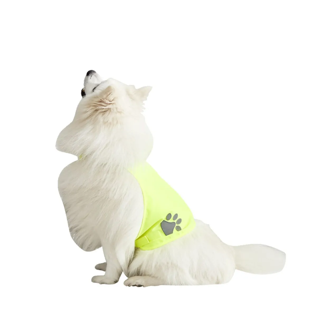 Gilet de sécurité pour chien réfléchissant Taille M < Gifi New