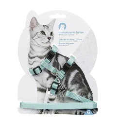 Harnais avec laisse pour chat < Gifi Hot