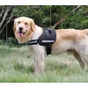 Harnais noir pour chien taille L < Gifi Discount