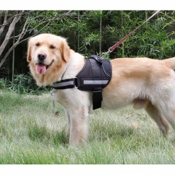Harnais noir pour chien taille L < Gifi Discount
