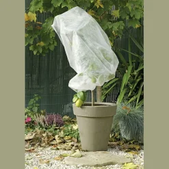Housse d'hivernage blanc 2x10m